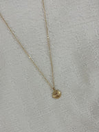 Shell Necklace