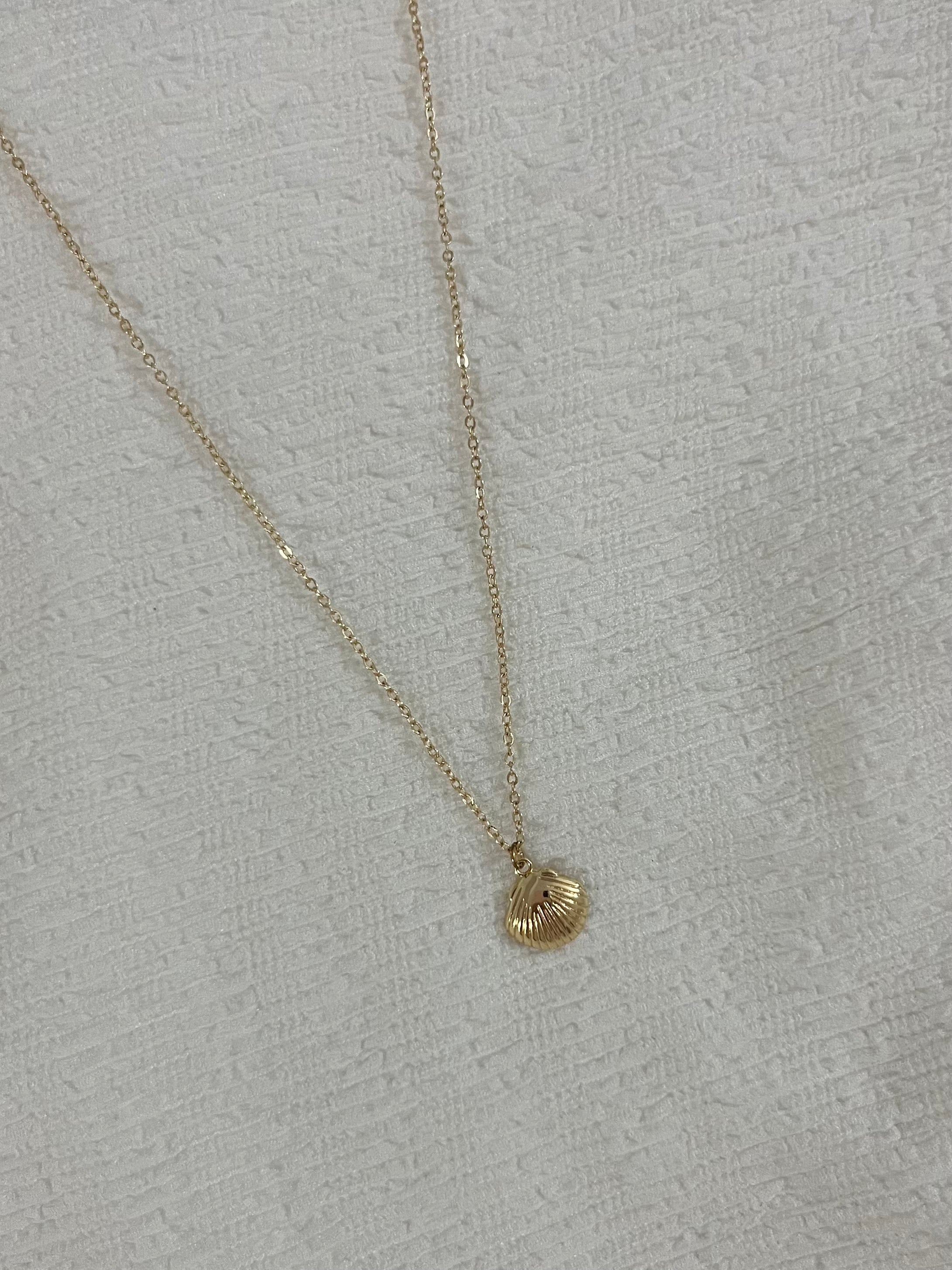 Shell Necklace