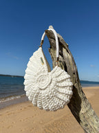 Handmade Crochet Nautilus Shell Bag